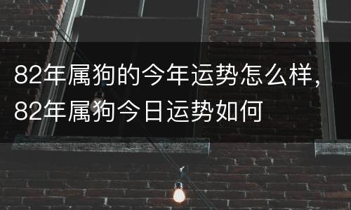 82年属狗的今年运势怎么样，82年属狗今日运势如何