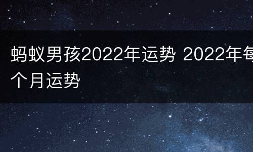 蚂蚁男孩2022年运势 2022年每个月运势
