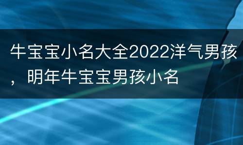 牛宝宝小名大全2022洋气男孩，明年牛宝宝男孩小名