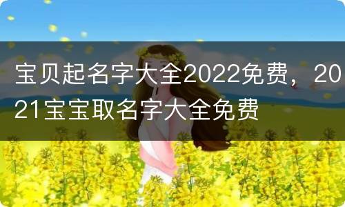 宝贝起名字大全2022免费，2021宝宝取名字大全免费