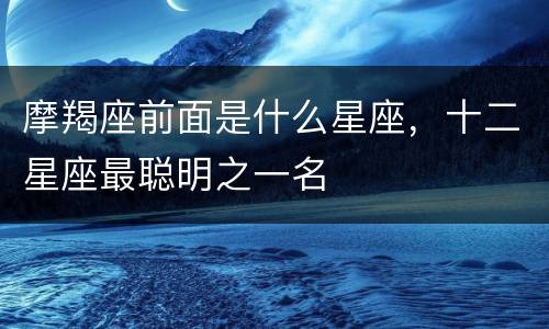 摩羯座前面是什么星座，十二星座最聪明之一名