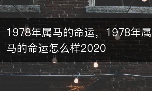 1978年属马的命运，1978年属马的命运怎么样2020