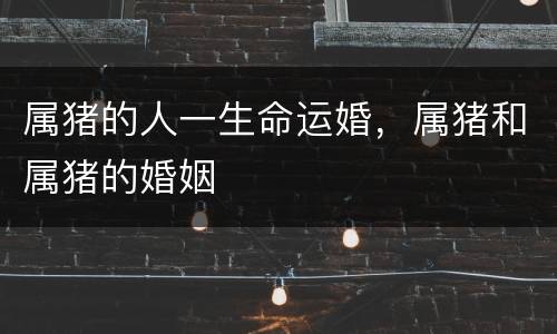 属猪的人一生命运婚，属猪和属猪的婚姻