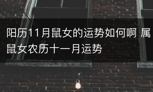 阳历11月鼠女的运势如何啊 属鼠女农历十一月运势