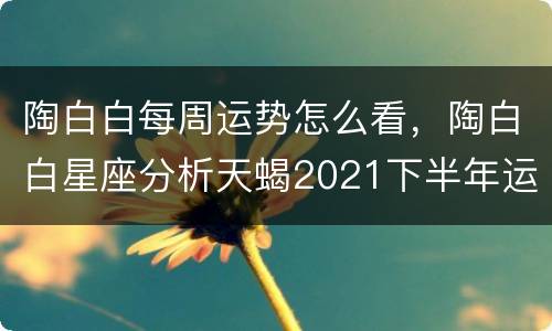 陶白白每周运势怎么看，陶白白星座分析天蝎2021下半年运势
