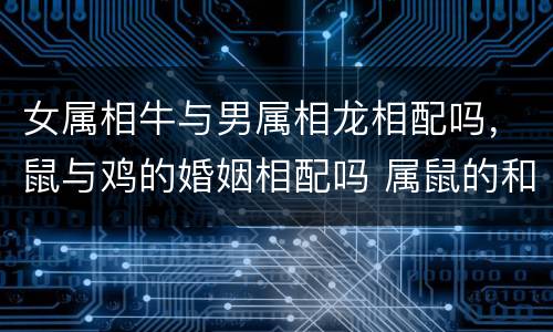 女属相牛与男属相龙相配吗，鼠与鸡的婚姻相配吗 属鼠的和属鸡的