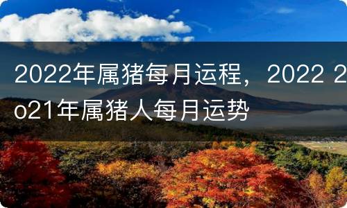 2022年属猪每月运程，2022 2o21年属猪人每月运势