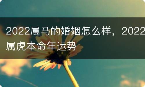 2022属马的婚姻怎么样，2022属虎本命年运势