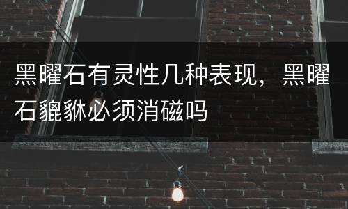 黑曜石有灵性几种表现，黑曜石貔貅必须消磁吗