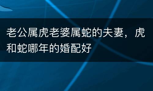 老公属虎老婆属蛇的夫妻，虎和蛇哪年的婚配好