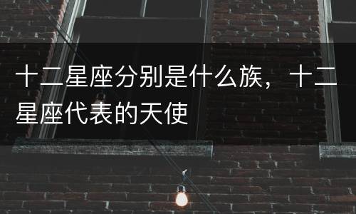 十二星座分别是什么族，十二星座代表的天使