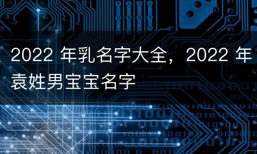 2022 年乳名字大全，2022 年袁姓男宝宝名字