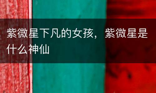 紫微星下凡的女孩，紫微星是什么神仙