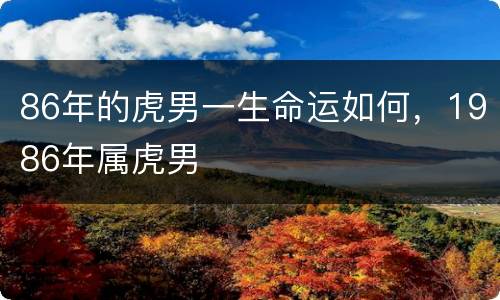 86年的虎男一生命运如何，1986年属虎男