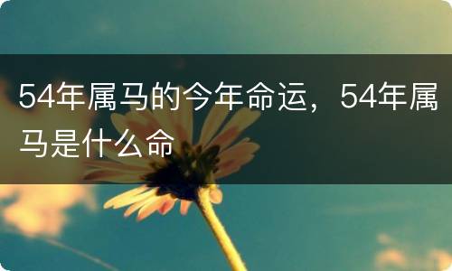 54年属马的今年命运，54年属马是什么命