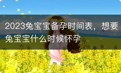 2023兔宝宝备孕时间表，想要兔宝宝什么时候怀孕