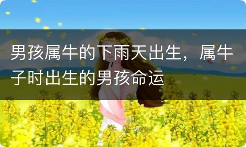 男孩属牛的下雨天出生，属牛子时出生的男孩命运