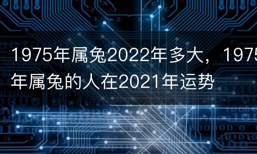 1975年属兔2022年多大，1975年属兔的人在2021年运势