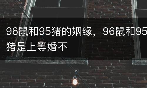 96鼠和95猪的姻缘，96鼠和95猪是上等婚不