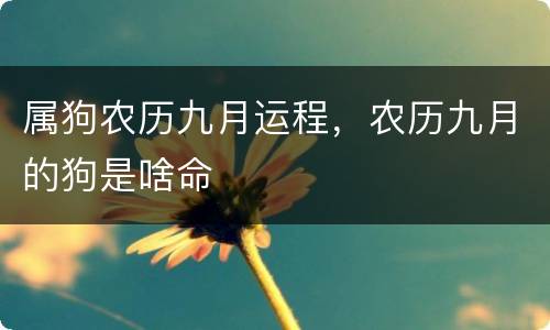 属狗农历九月运程，农历九月的狗是啥命