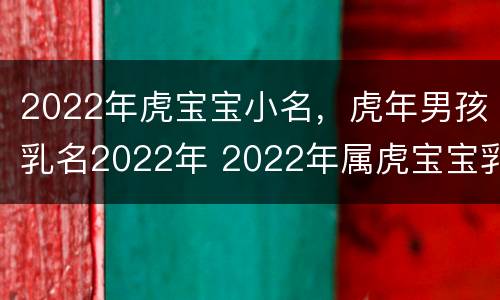 2022年虎宝宝小名，虎年男孩乳名2022年 2022年属虎宝宝乳名