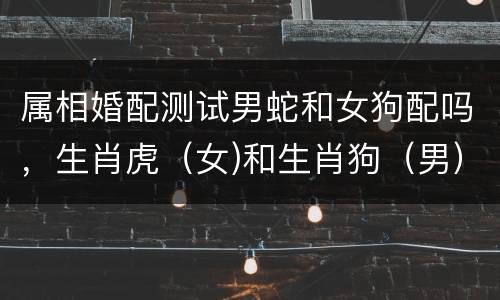 属相婚配测试男蛇和女狗配吗，生肖虎（女)和生肖狗（男）能配对吗?