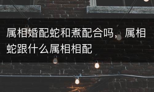 属相婚配蛇和煮配合吗，属相蛇跟什么属相相配