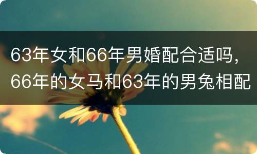 63年女和66年男婚配合适吗，66年的女马和63年的男兔相配吗？