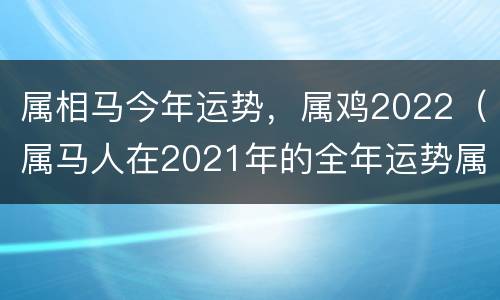 属相马今年运势，属鸡2022（属马人在2021年的全年运势属鸡）