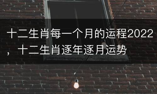 十二生肖每一个月的运程2022，十二生肖逐年逐月运势
