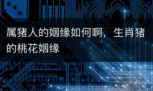 属猪人的姻缘如何啊，生肖猪的桃花姻缘