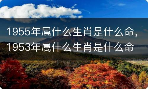 1955年属什么生肖是什么命，1953年属什么生肖是什么命
