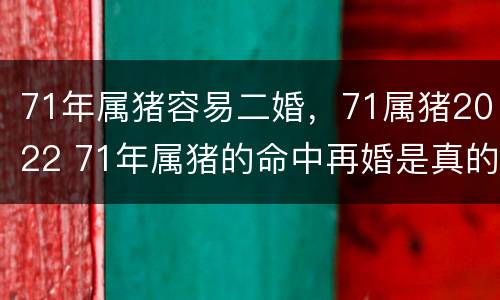 71年属猪容易二婚，71属猪2022 71年属猪的命中再婚是真的吗
