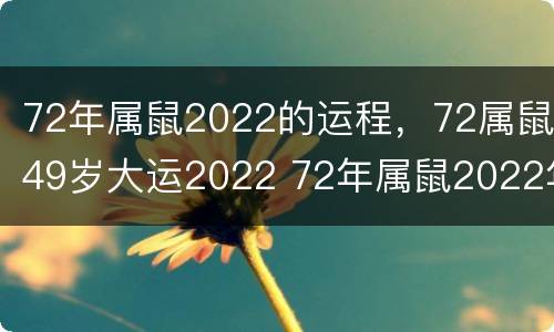 72年属鼠2022的运程，72属鼠49岁大运2022 72年属鼠2022年的运程每月运程