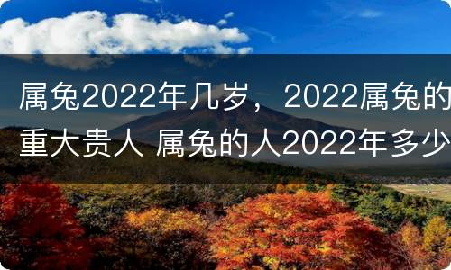 属兔2022年几岁，2022属兔的重大贵人 属兔的人2022年多少岁