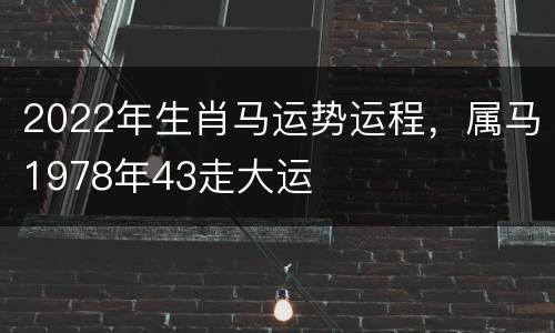 2022年生肖马运势运程，属马1978年43走大运