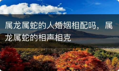 属龙属蛇的人婚姻相配吗，属龙属蛇的相声相克