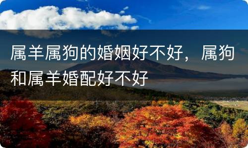 属羊属狗的婚姻好不好，属狗和属羊婚配好不好