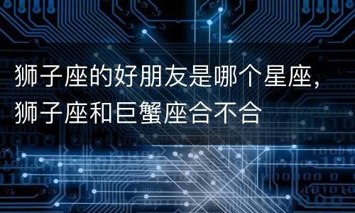 狮子座的好朋友是哪个星座，狮子座和巨蟹座合不合