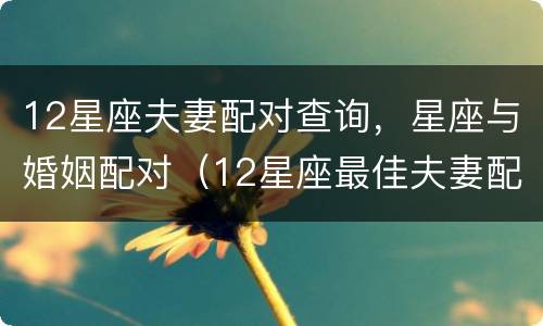 12星座夫妻配对查询，星座与婚姻配对（12星座最佳夫妻配对查询）