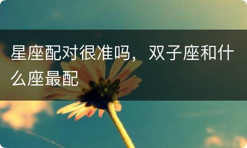 星座配对很准吗，双子座和什么座最配