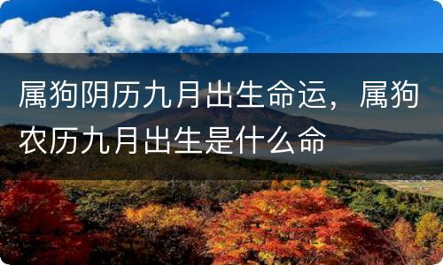 属狗阴历九月出生命运，属狗农历九月出生是什么命