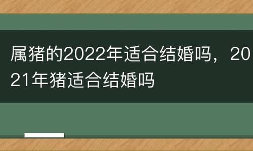 属猪的2022年适合结婚吗，2021年猪适合结婚吗