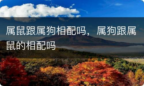 属鼠跟属狗相配吗，属狗跟属鼠的相配吗