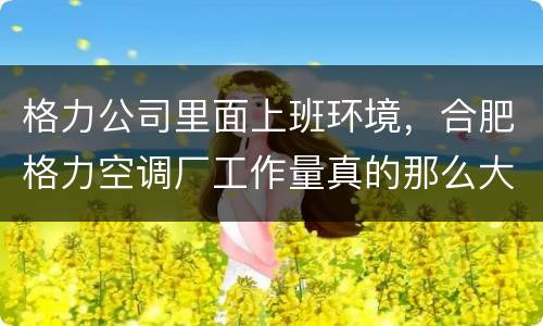 格力公司里面上班环境，合肥格力空调厂工作量真的那么大吗，都说很累？我想