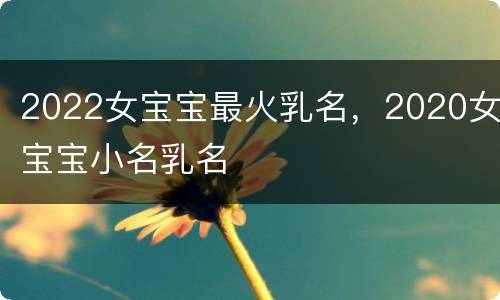 2022女宝宝最火乳名，2020女宝宝小名乳名
