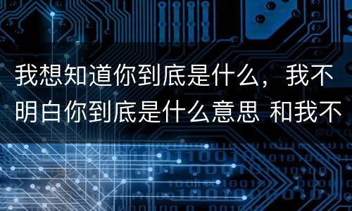 我想知道你到底是什么，我不明白你到底是什么意思 和我不明白你是什么意思