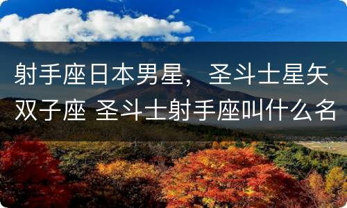 射手座日本男星，圣斗士星矢双子座 圣斗士射手座叫什么名字