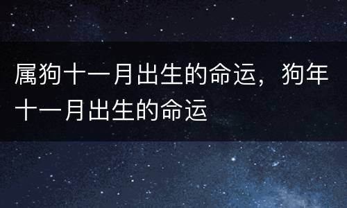 属狗十一月出生的命运，狗年十一月出生的命运