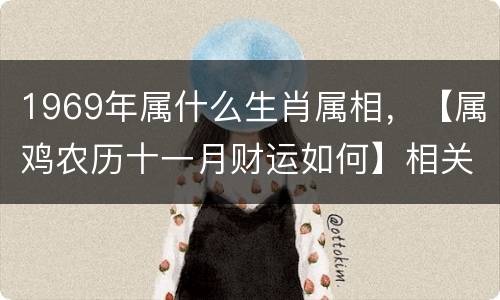 1969年属什么生肖属相，【属鸡农历十一月财运如何】相关文章